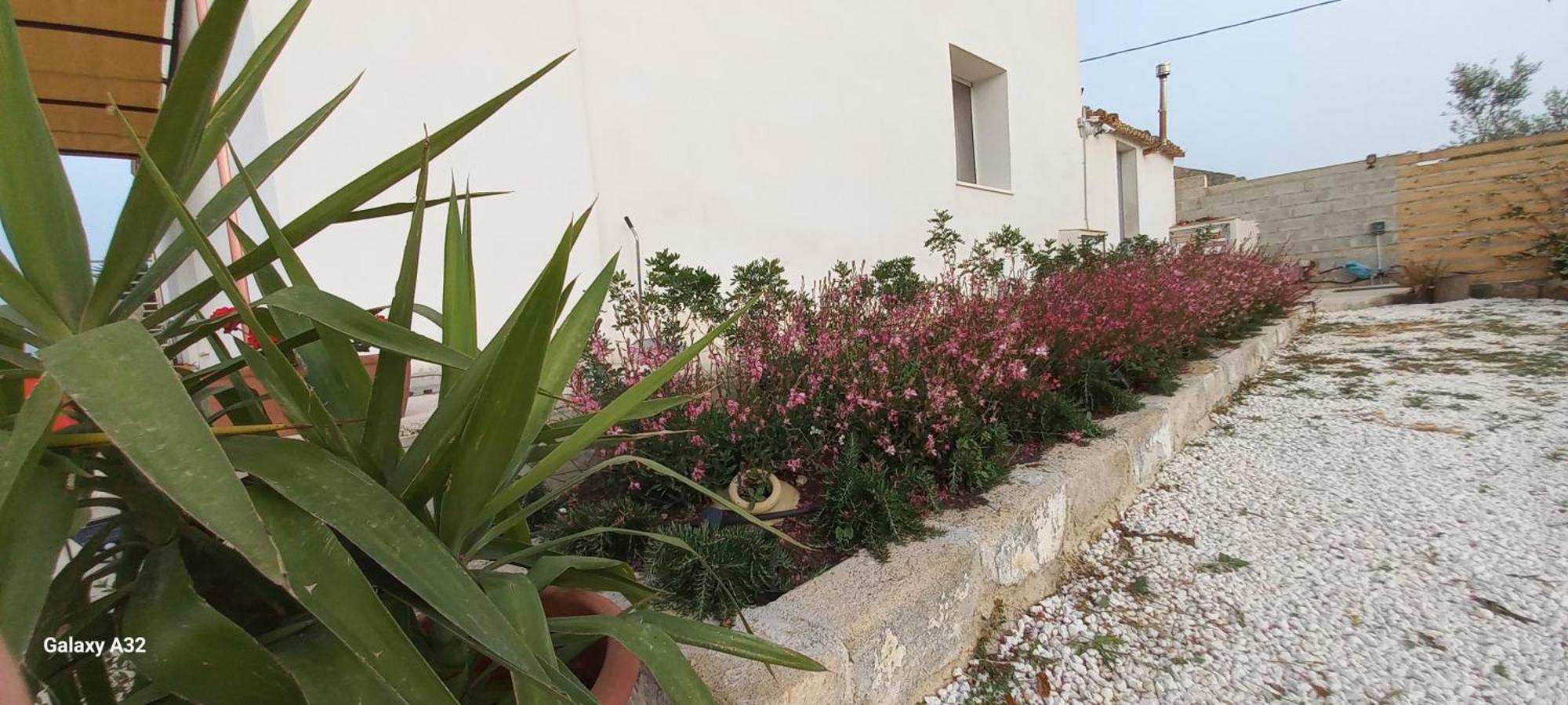 Almademari Giglio Casa Vacanza パキーノ 部屋 写真